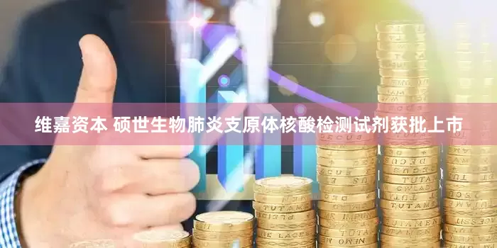 维嘉资本 硕世生物肺炎支原体核酸检测试剂获批上市