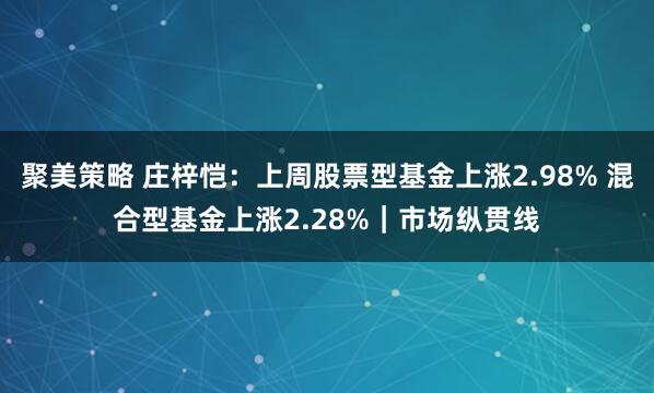 聚美策略 庄梓恺：上周股票型基金上涨2.98% 混合型基金上涨2.28%｜市场纵贯线