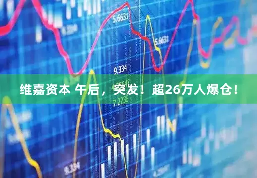 维嘉资本 午后，突发！超26万人爆仓！