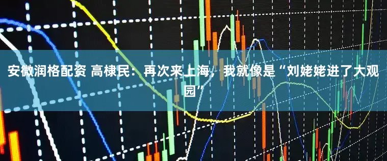 安微润格配资 高棣民：再次来上海，我就像是“刘姥姥进了大观园”