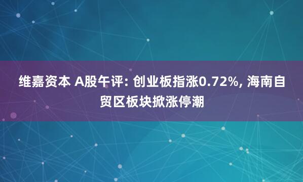 维嘉资本 A股午评: 创业板指涨0.72%, 海南自贸区板块掀涨停潮