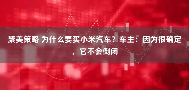 聚美策略 为什么要买小米汽车？车主：因为很确定，它不会倒闭